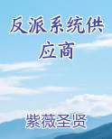 反派系统供应商电子书