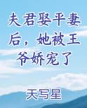 夫君娶平妻后，她被王爷娇宠了