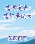 魔君宠妻：魔妃要逆天