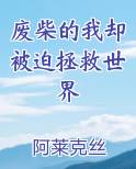 废柴的我