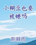 小糊豆也要被嬷吗小说全集