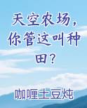 天空农场，你管这叫种田？小说全文免费阅读