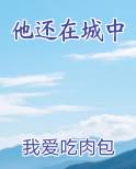 他还在城中小说推荐
