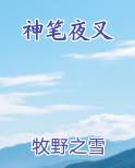 神笔夜叉小说下载