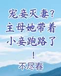宠妾灭妻?主母她带着小妾跑路了小说