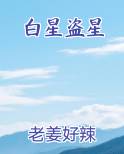 白星盗星完整版小说