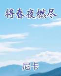 将春夜燃尽